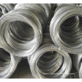 Galvanized Iron Low Carbon Steel Wire